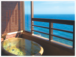 Japanese Room with Personal Hot Spring Tub