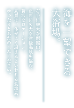 海を一望できる大浴場。